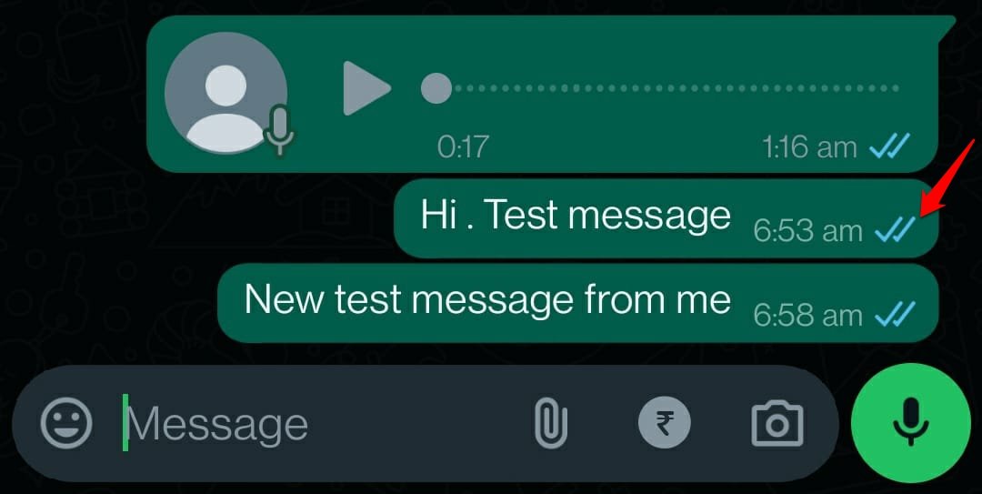 WhatsApp-message-double-blue-tick