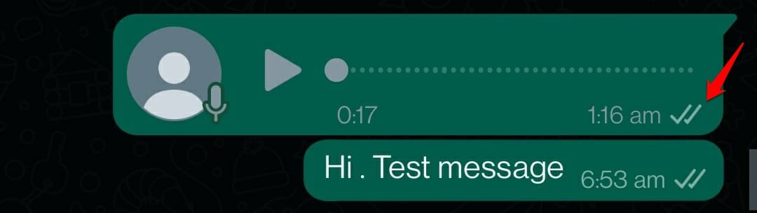 WhatsApp-message-double-grey-tick-meaning