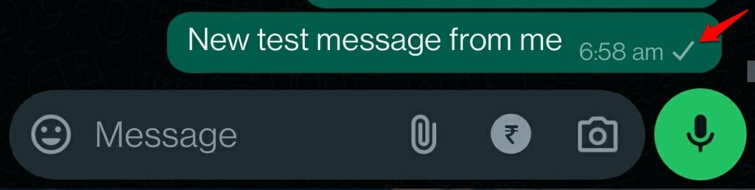 meaning-of-WhatsApp-single-grey-tick